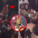 Fight Erupts In Crowd At Chris Brown Concert