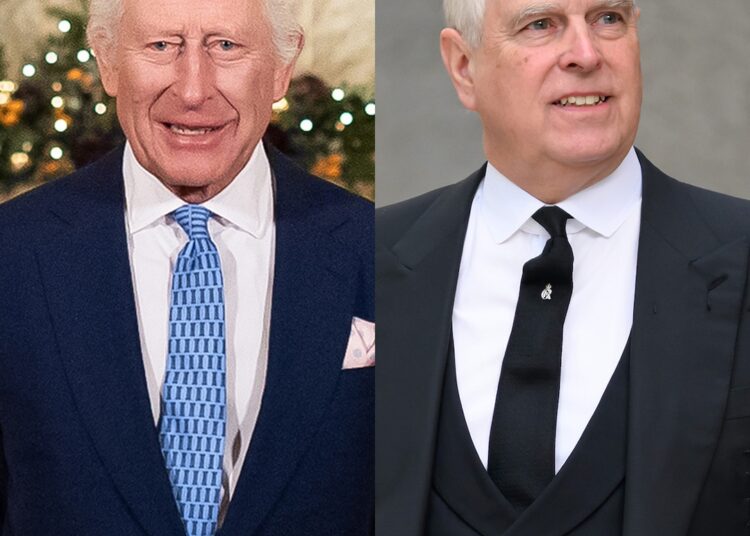 King Charles III Reaction to Prince Andrew Giving Up Royal Titles