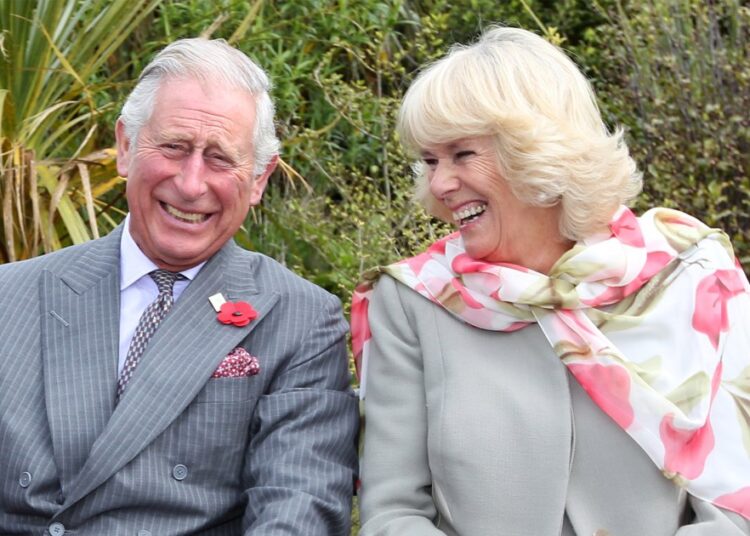King Charles, Queen Camilla Just Twinned & So Do Harry & Meghan