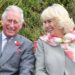 King Charles, Queen Camilla Just Twinned & So Do Harry & Meghan