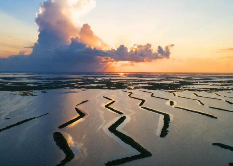 Lafayette photographer has captured Louisiana for 50 years. | Entertainment/Life