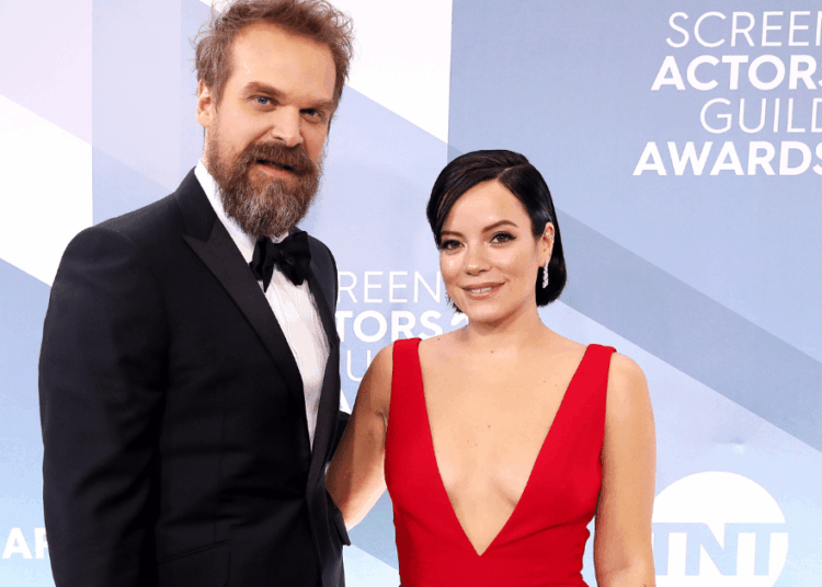 Lily Allen Fuels David Harbour Cheating Rumors in New Song Lyrics