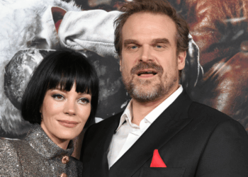Lily Allen Hints at David Harbour’s Alleged Cheating in New Songs