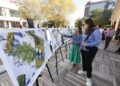 Little Rock to enhance B. Finley Vinson Plaza with green space, seating and entertainment areas