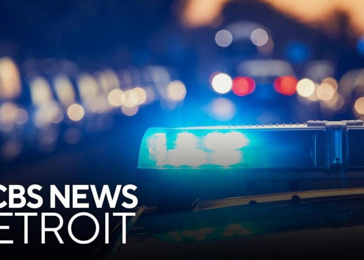 Man dead, woman in custody after stabbing in Royal Oak