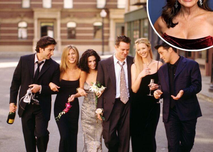 Mariska Hargitay Auditioned for Friends