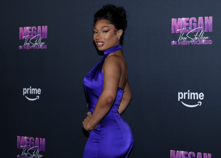 Megan Thee Stallion hates 'tongue-wrestling on Twitter' over chart positions