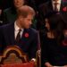 As Prince Harry and Meghan Markle, both donning remembrance poppies, sat waiting for the service in 2018 to begin, a stern-faced Harry looked ahead as his wife ushered five damning words'. Take advantage of the situation', she urged Harry, according to an expert lip reader