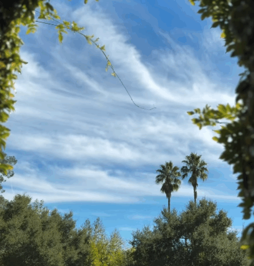 Meghan Markle shares a video clip of her Montecito backyard on Instagram