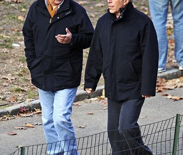 Andrew (left) and Epstein (right) strolling together in Central Park on December 5, 2010