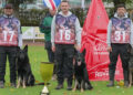 Movie star dog fired for biting crew crowned world's most obedient canine