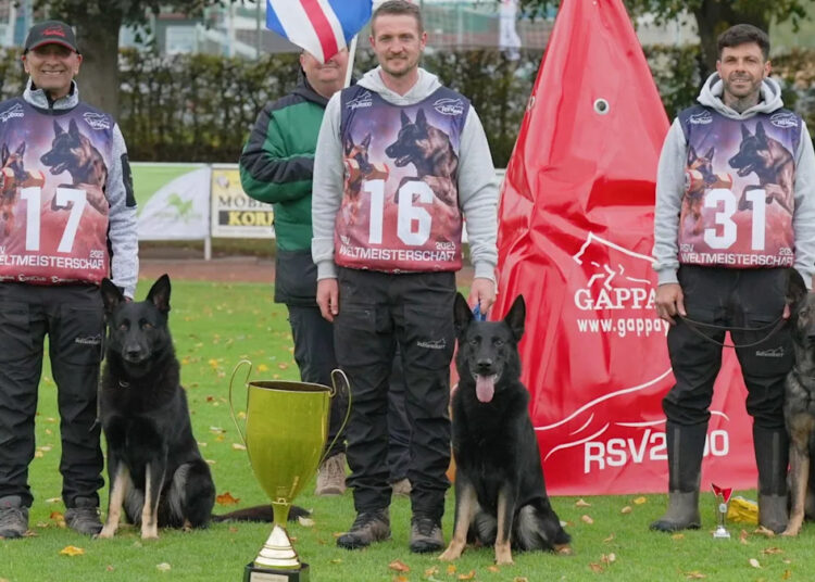Movie star dog fired for biting crew crowned world's most obedient canine