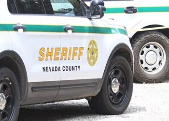 NCSO: 'Celebrity' catfish scam leads to local resident losing over $25,000 | News