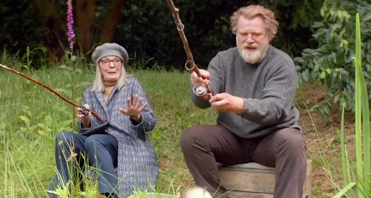 diane keaton, brendan gleeson, hampstead