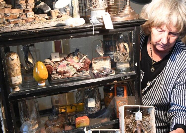 Nevada City Oddities Show returns to Miners Foundry Nov. 2 | Entertainment