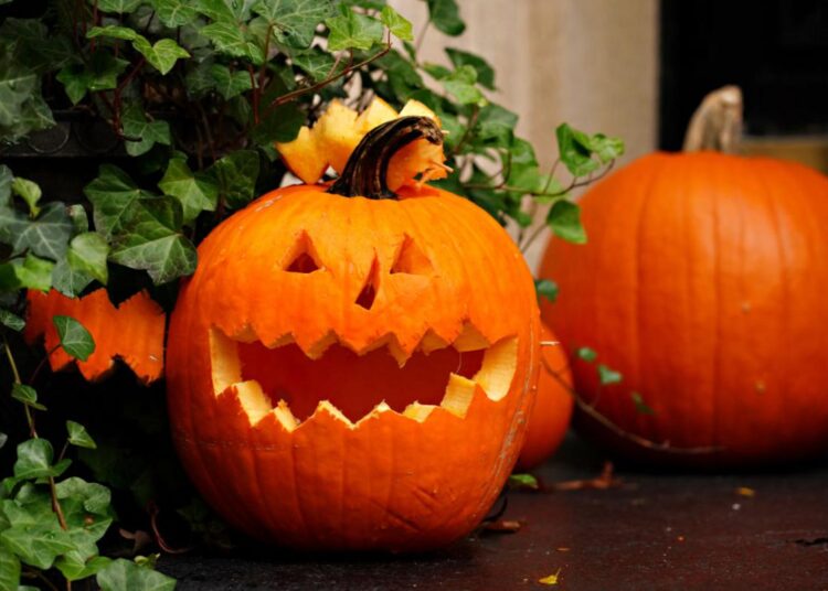 New Bedford’s AHA! Night: Music, Costumes & Parades