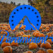 New to Paramount+ in November 2025