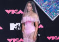 Nicki Minaj has scrapped her plans to drop a new album next year.