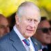 Palace Posts Striking Video of King Charles at a Memorial Alone