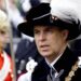 Prince Andrew in the robes of the Order of the Garter