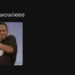 “that mauiii wowiieee.” dancing meme