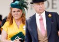 Prince Andrew, Sarah Ferguson's Relationship Amid Jeffrey Epstein Fallout