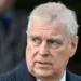 Prince Andrew head and shoulders picture