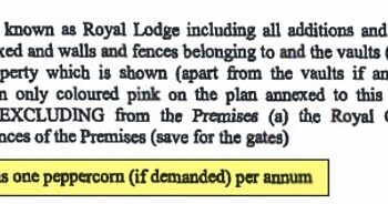 The full version of the lease was disclosed on Monday reads: 'Rent means one peppercorn (if demanded) per annum'