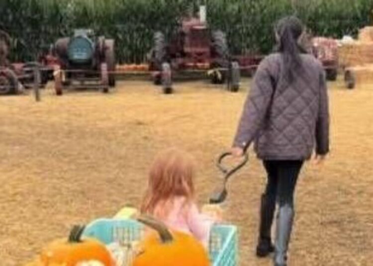 Prince Harry and Meghan take Archie and Lillibet to pumpkin patch - Celebrity News - Entertainment