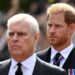 Prince Harry furious over Prince Andrew decision - Celebrity News - Entertainment