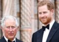 Prince Harry renews security push after King reconcilliation - Celebrity News - Entertainment