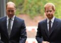 Prince Harry returns to 'royal trio' for one night in latest return to old life - Royals - News
