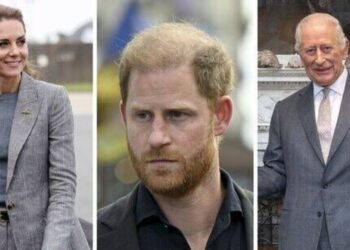 Prince Harry sent royal family message with subtle outfit choice - Royals - News