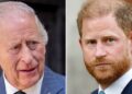 Prince Harry still 'won't be welcomed back' to royal family - Celebrity News - Entertainment