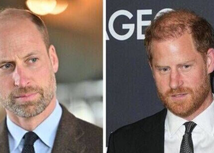 Prince Harry 'unites' with William on one issue despite feud - Celebrity News - Entertainment