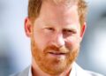Prince Harry worried about asking the queen odd question - Celebrity News - Entertainment