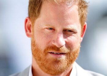 Prince Harry worried about asking the queen odd question - Celebrity News - Entertainment