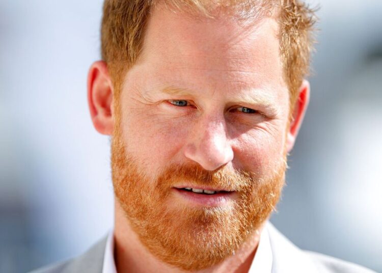 Prince Harry worried about asking the queen odd question - Celebrity News - Entertainment