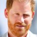 Prince Harry worried about asking the queen odd question - Celebrity News - Entertainment