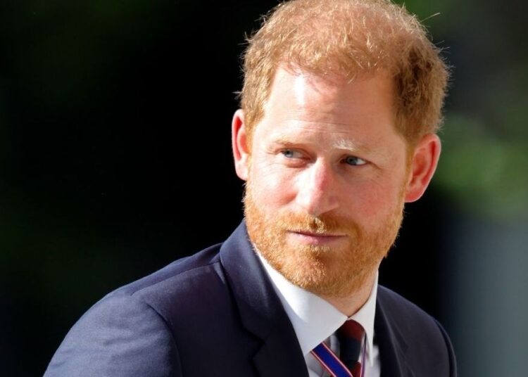 Prince Harry's Idea of a 'Modern' Monarchy Was Flatly Refused — Source