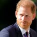 Prince Harry's Idea of a 'Modern' Monarchy Was Flatly Refused — Source