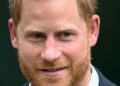 Prince Harry's children may struggle to meet royals as they grow up - Celebrity News - Entertainment