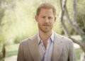 Prince Harry's kids don't have a clue what his job is - Celebrity News - Entertainment
