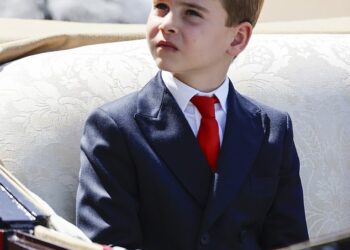 Prince Louis may only be seven years old, but he was already offered his first job as a working royal