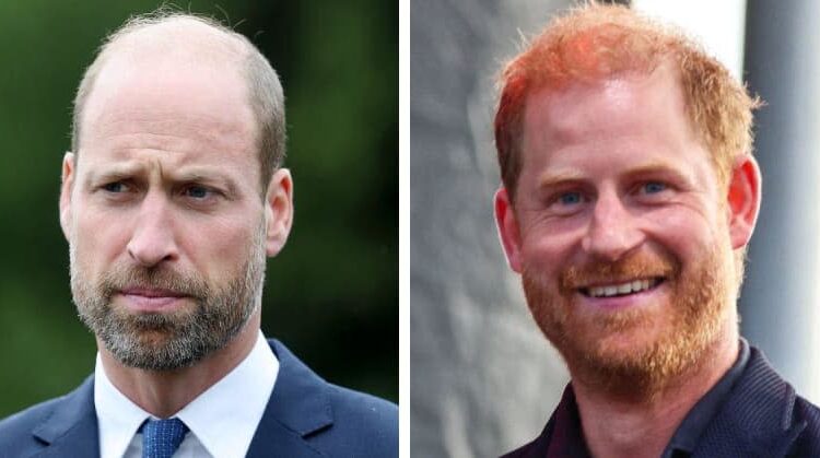 Prince William mentioned Prince Harry during a rare interview about their tough childhood as royals.MEGA