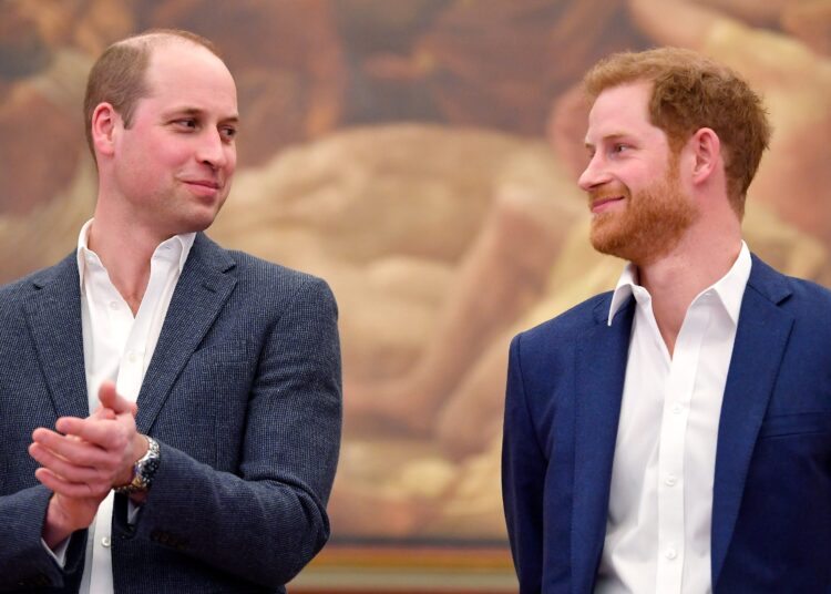 Prince William Prince Harry Relationship 2025
