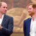 Prince William Prince Harry Relationship 2025