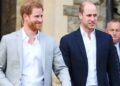 Prince William, Prince Harry’s cousin makes delightful announcement