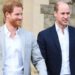 Prince William, Prince Harry’s cousin makes delightful announcement