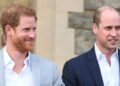 Prince William Shares Rare Comment About Brother Prince Harry Amid Ongoing Royal Family Feud | Prince Harry, Prince William | Celebrity News and Gossip | Entertainment, Photos and Videos